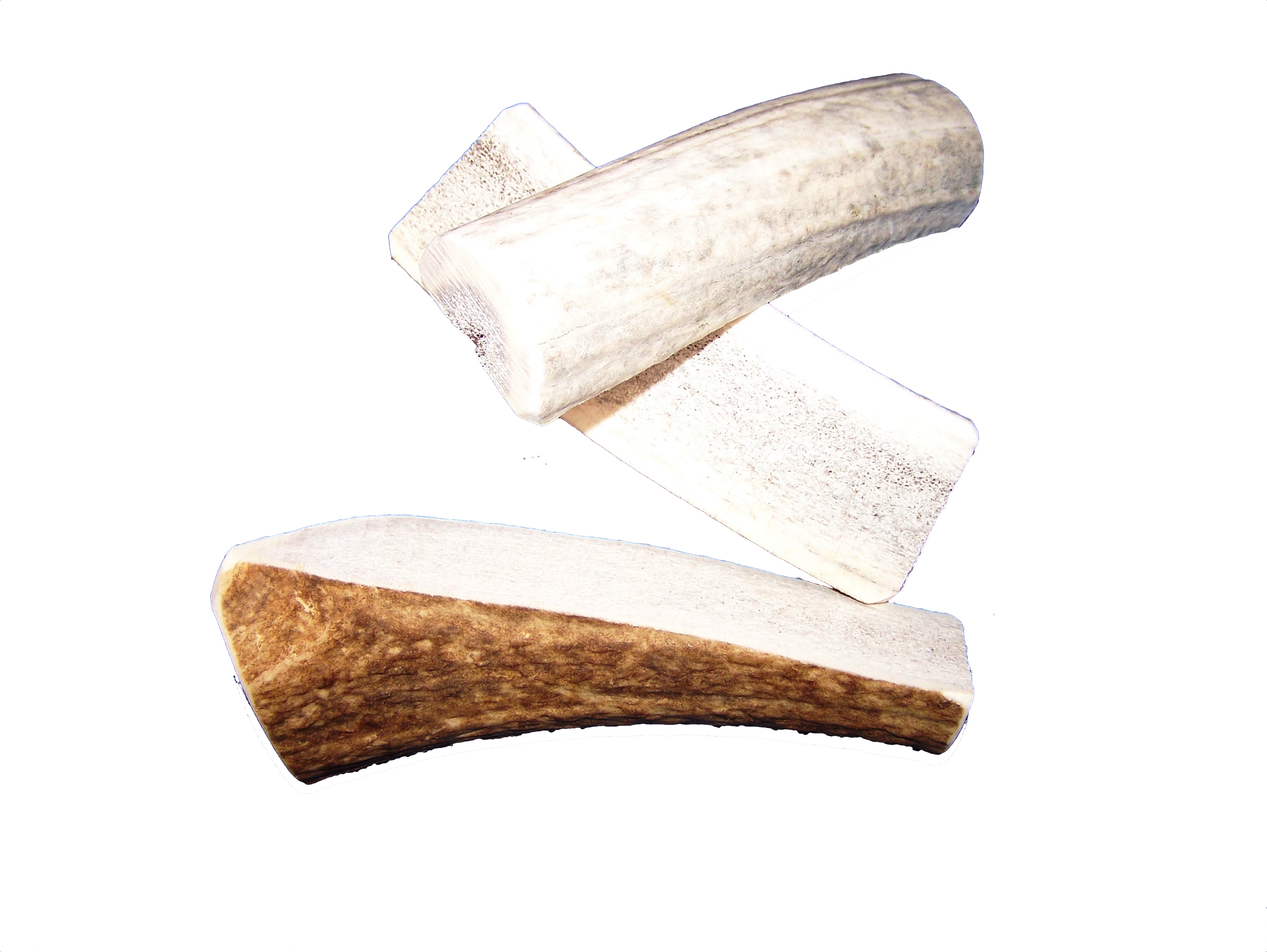 Antler Chews - Nature`s Own Dog Chews